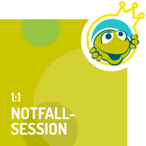 Vertriebscoaching Einzelstunde mit Birgit Kieslich Notfall-Session