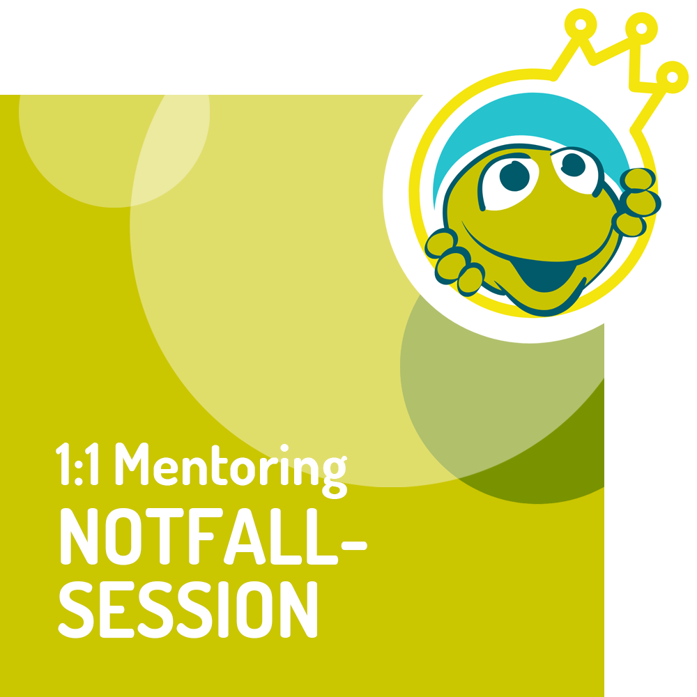 Birgit Kieslich I Vertriebscoaching I Mein-Vertriebscoach I Kieslich Vertriebsentwicklung I Akquise-Frosch I 1:1 Mentoring Notfallsession